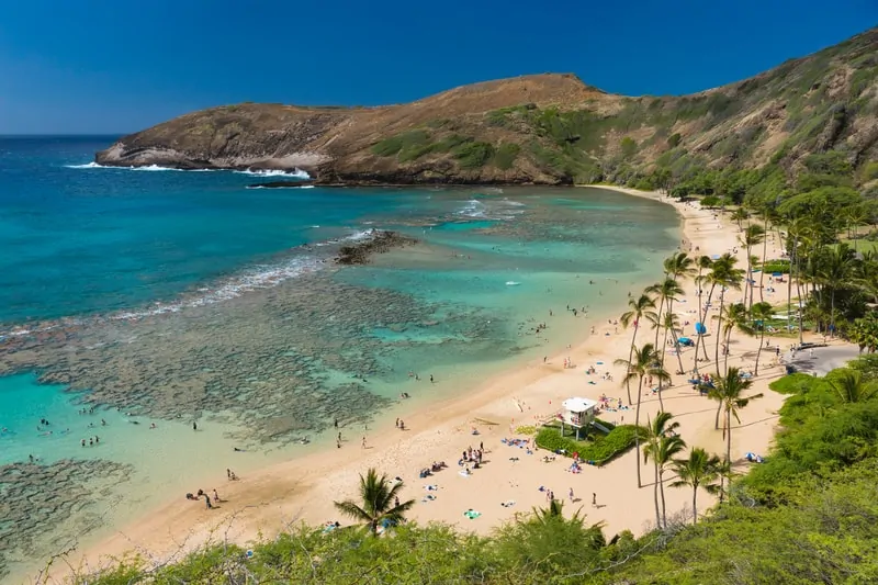 hanauma bay snorkeling