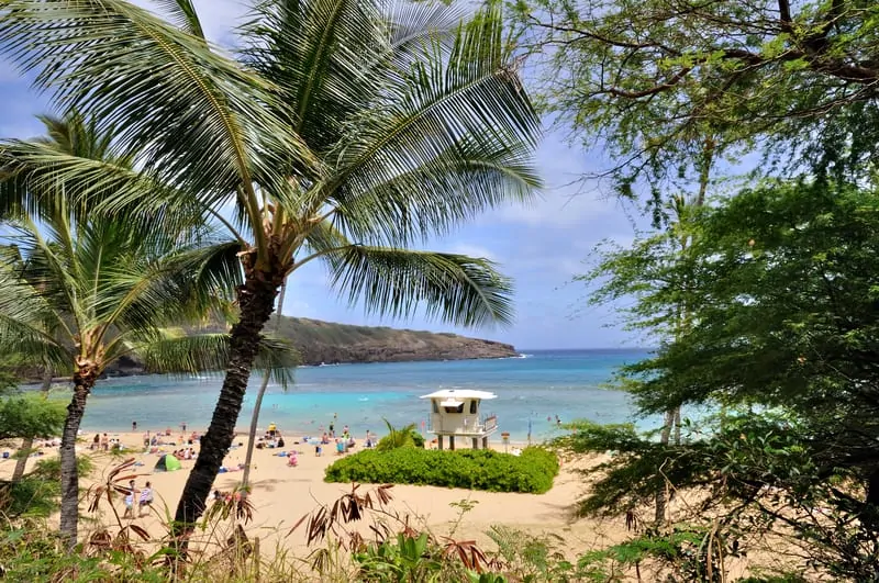 hanauma bay view