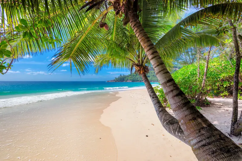 jamaica snorkeling