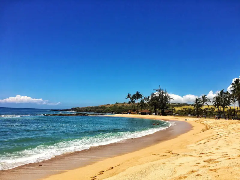 salt pond beach park kauai