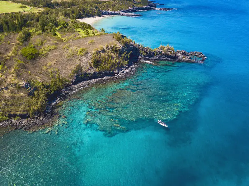 snorkeling in maui