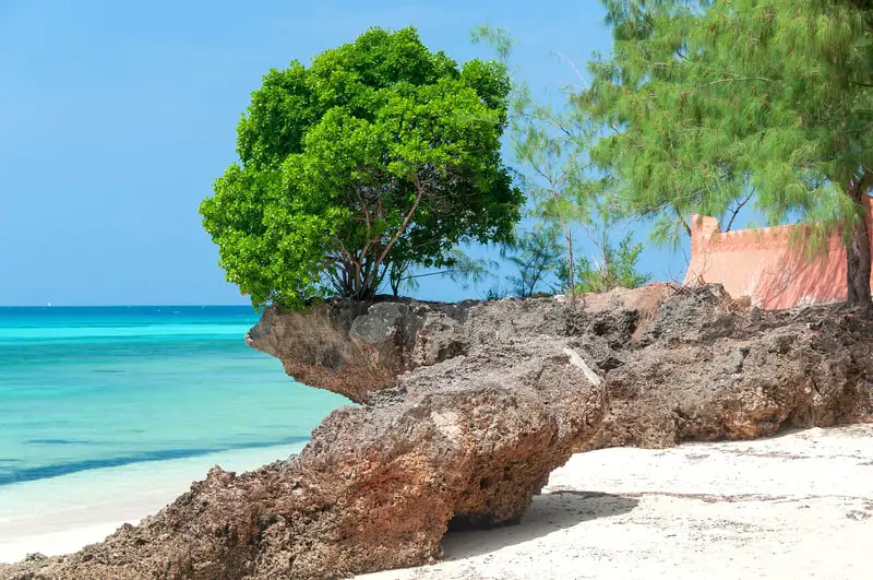 Zanzibar snorkeling