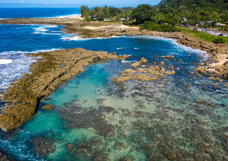 sharks cove snorkeling