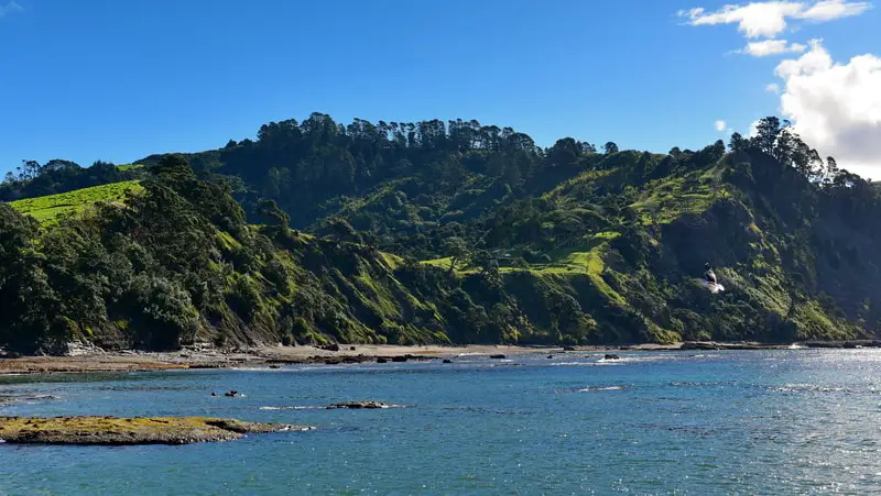 Goat Island Marine Reserve