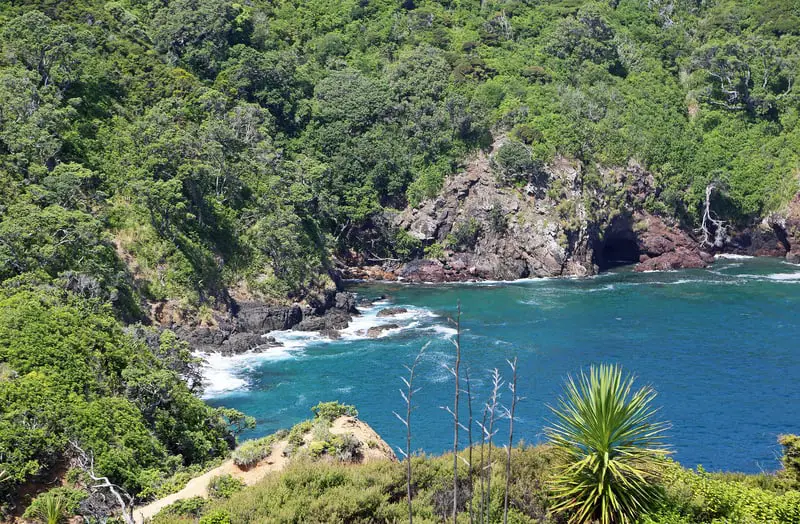 port knights tutukaka