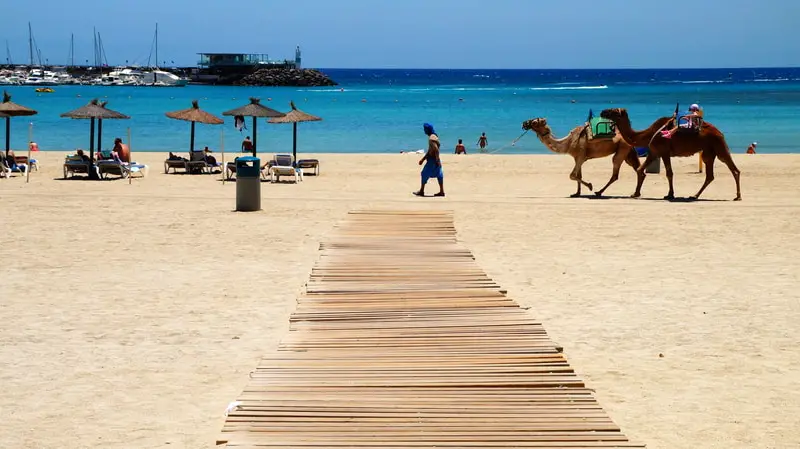 Caleta de Fuste snorkeling