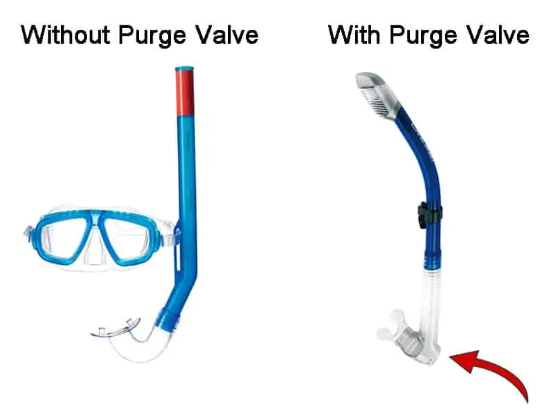 snorkel purge valve explained