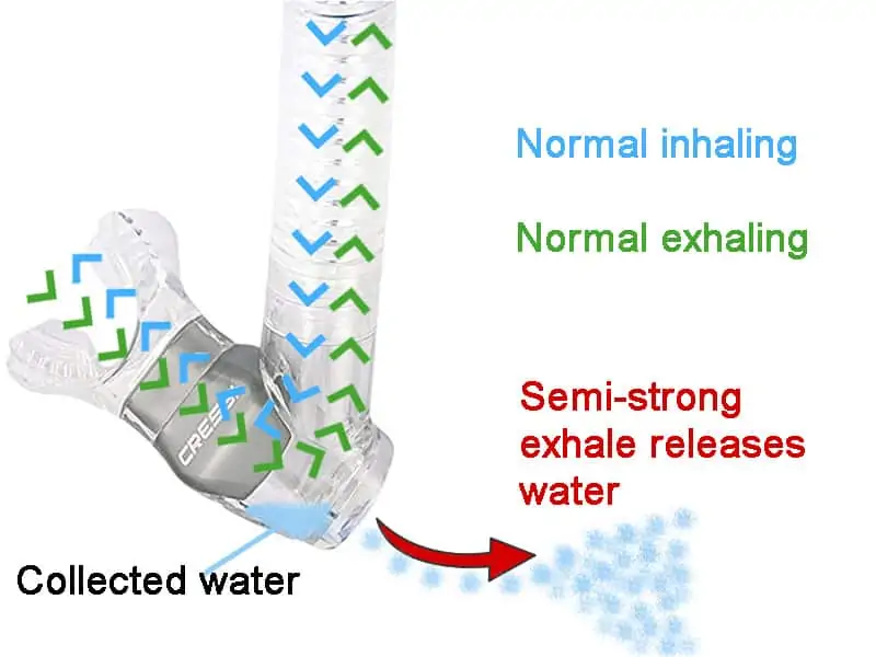 snorkel purge valve functionality