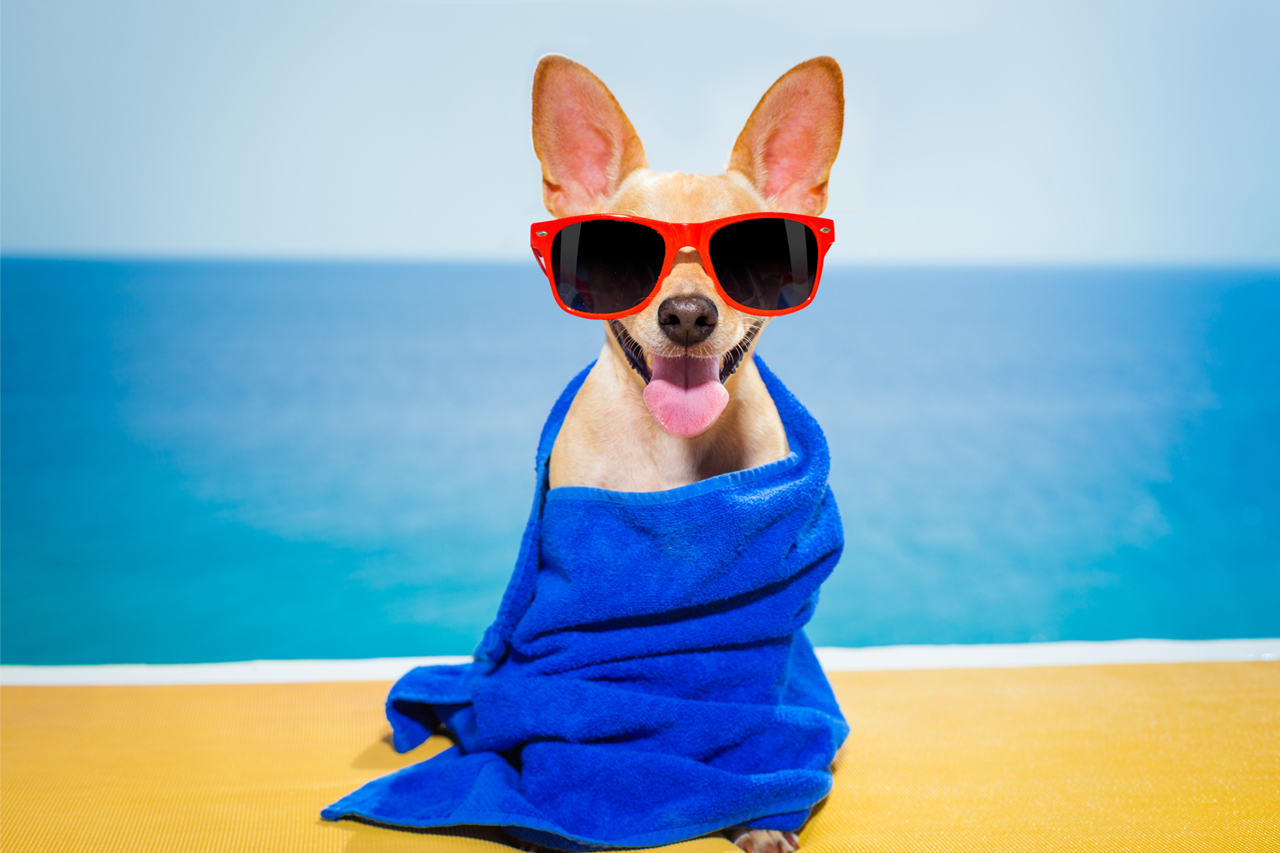 sand proof beach towels