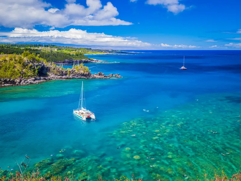 honolua bay snorkel guide