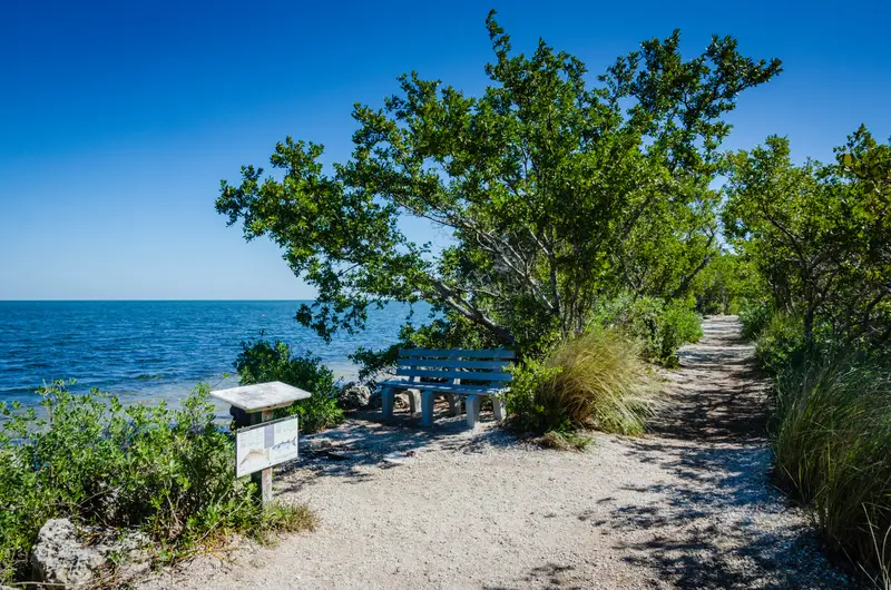 biscayne national park view