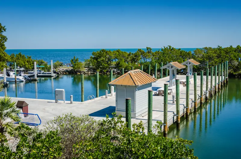 biscayne snorkeling guide