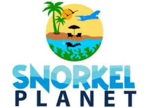snorkeling excursions in aruba