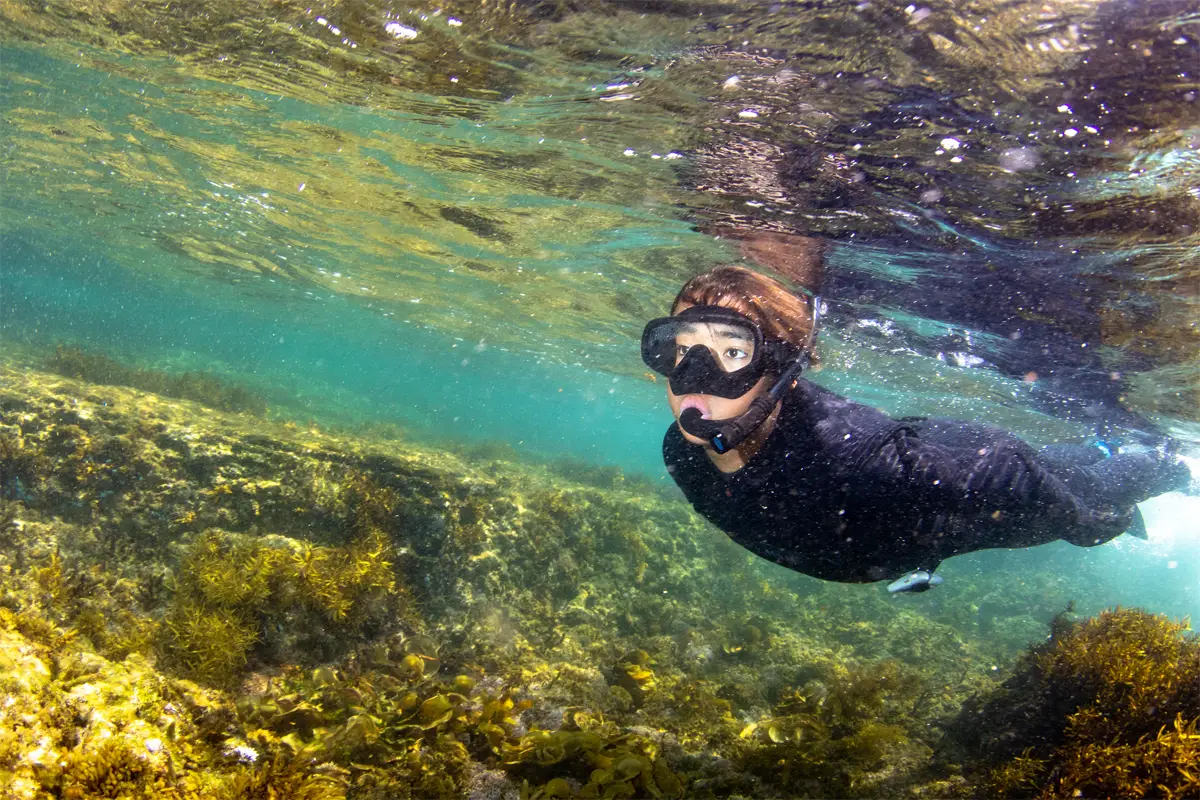 snorkeling wetsuits