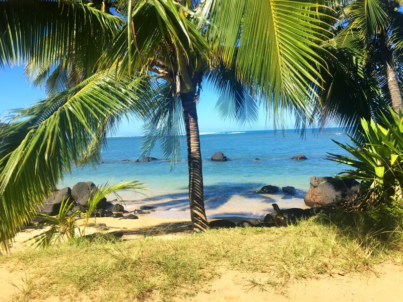 Anini Beach snorkel entrance