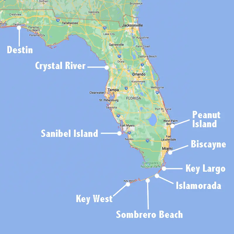 Florida snorkel map