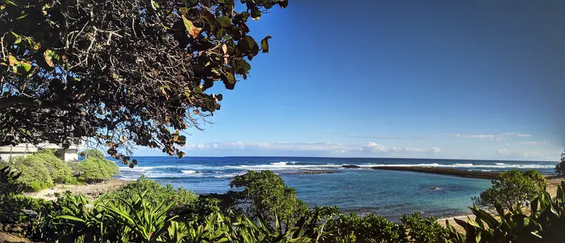 Kuilima Cove snorkeling