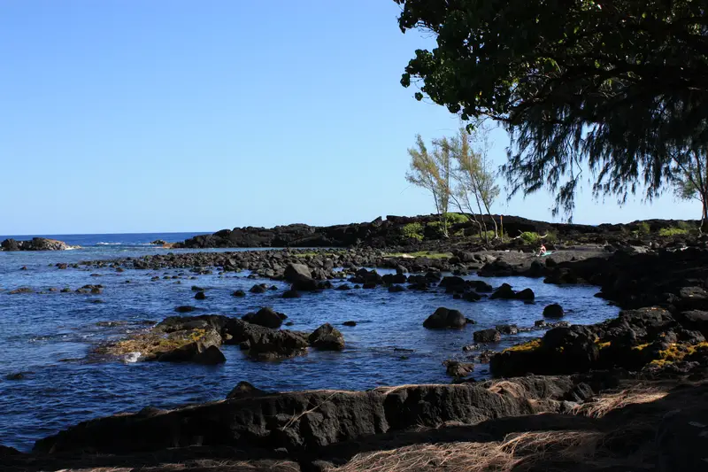 Richardson Ocean Park rocks