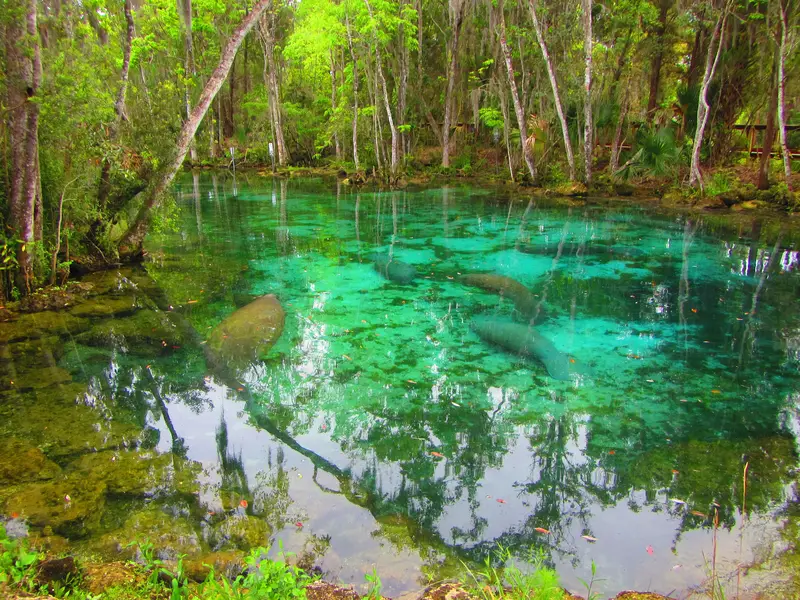 Three Sister Springs