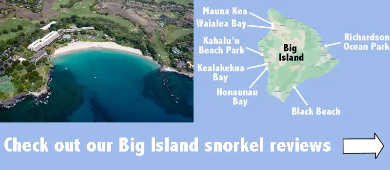 Big Island snorkel spot reviews
