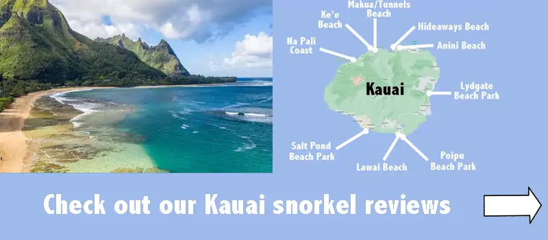 Kauai snorkel spot reviews