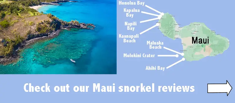 Maui snorkel spot reviews