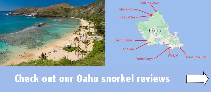 Oahu snorkel spot reviews